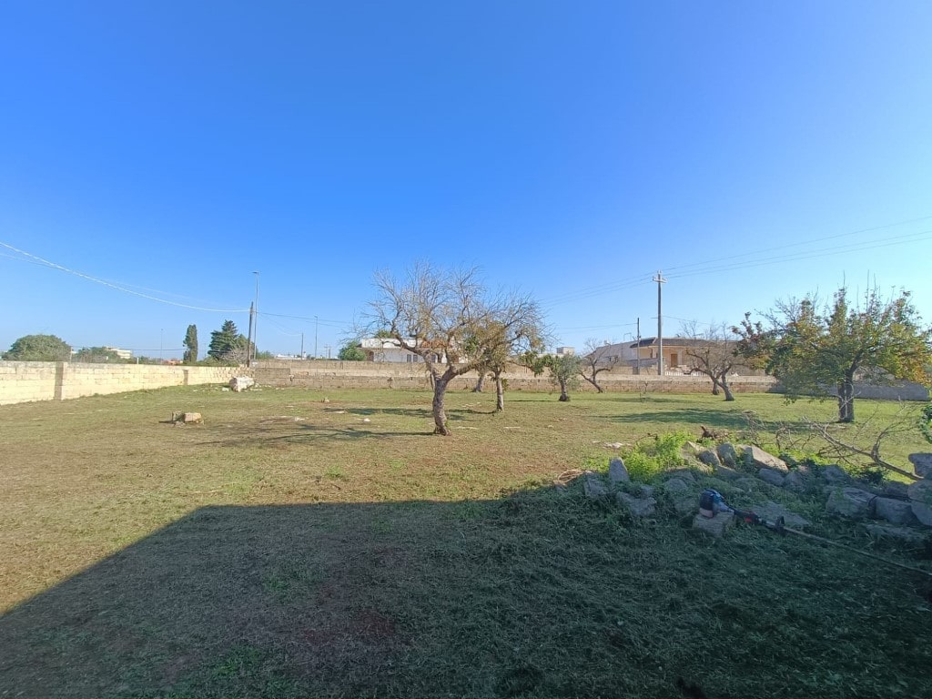 Giano Group Immobiliare